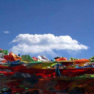 西藏彩民喜中双色球1012万元 创历史新高